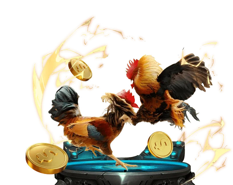 Tổng quan thương hiệu hp88